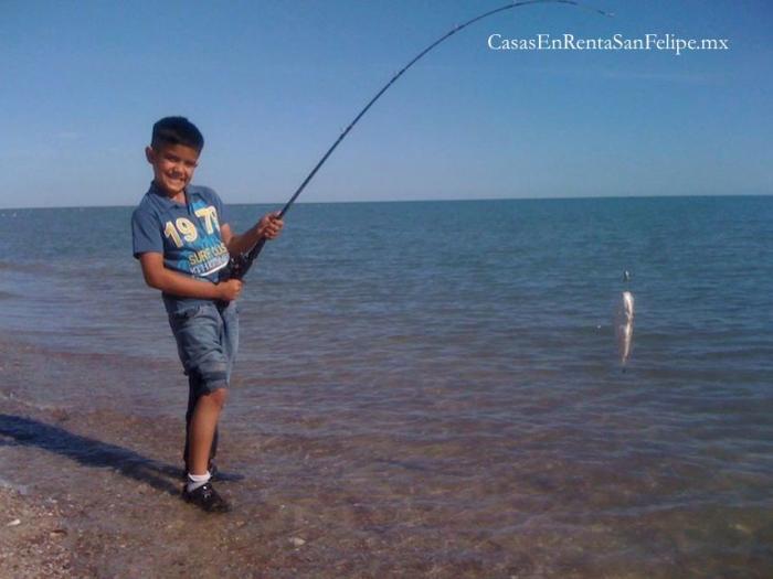 De Pesca en San Felipe, MÃ©xico