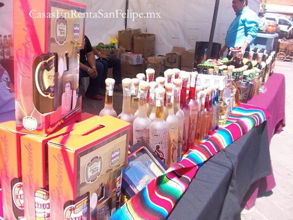 FESTIVAL DEL TEQUILA EN SAN FELIPE