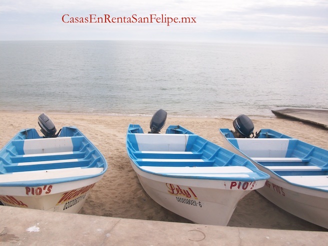 Pesca deportiva- pesca divertida  en San Felipe