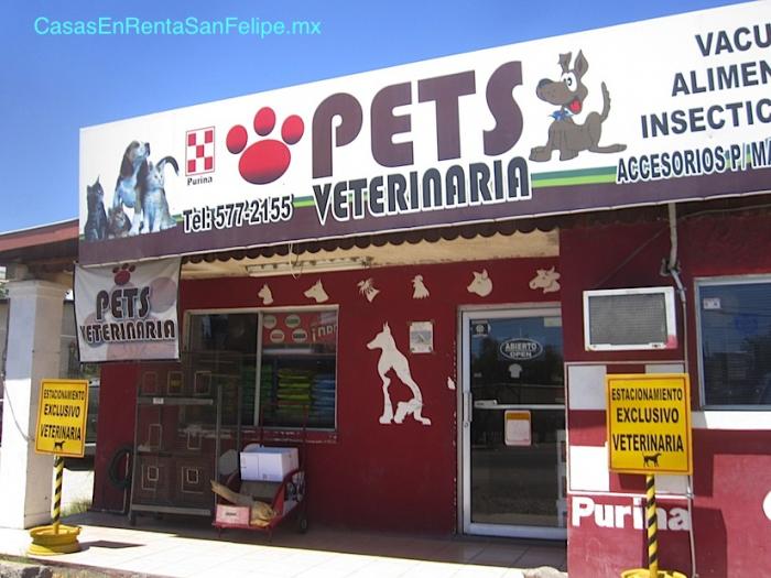 San Felipe Pets Veterinaria Y Tienda de Mascotas