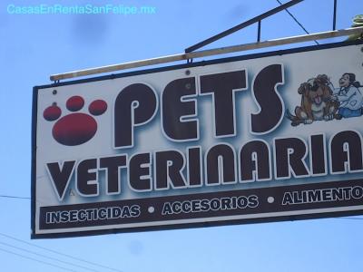 Pets Veterinaria tienda san felipe baja california letrero