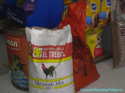 San Felipe pets Veterinaria tienda - alimento  para pollos