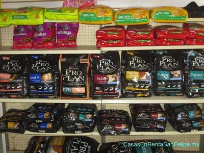 san felipe pets veterinaria tienda - comida gatos