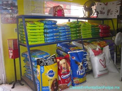 San Felipe pets veterinaria tienda - comida para perros