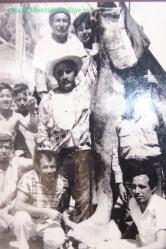 Fotos histÃ³ricas de san felipe en exhibiciÃ³n - pescadores 